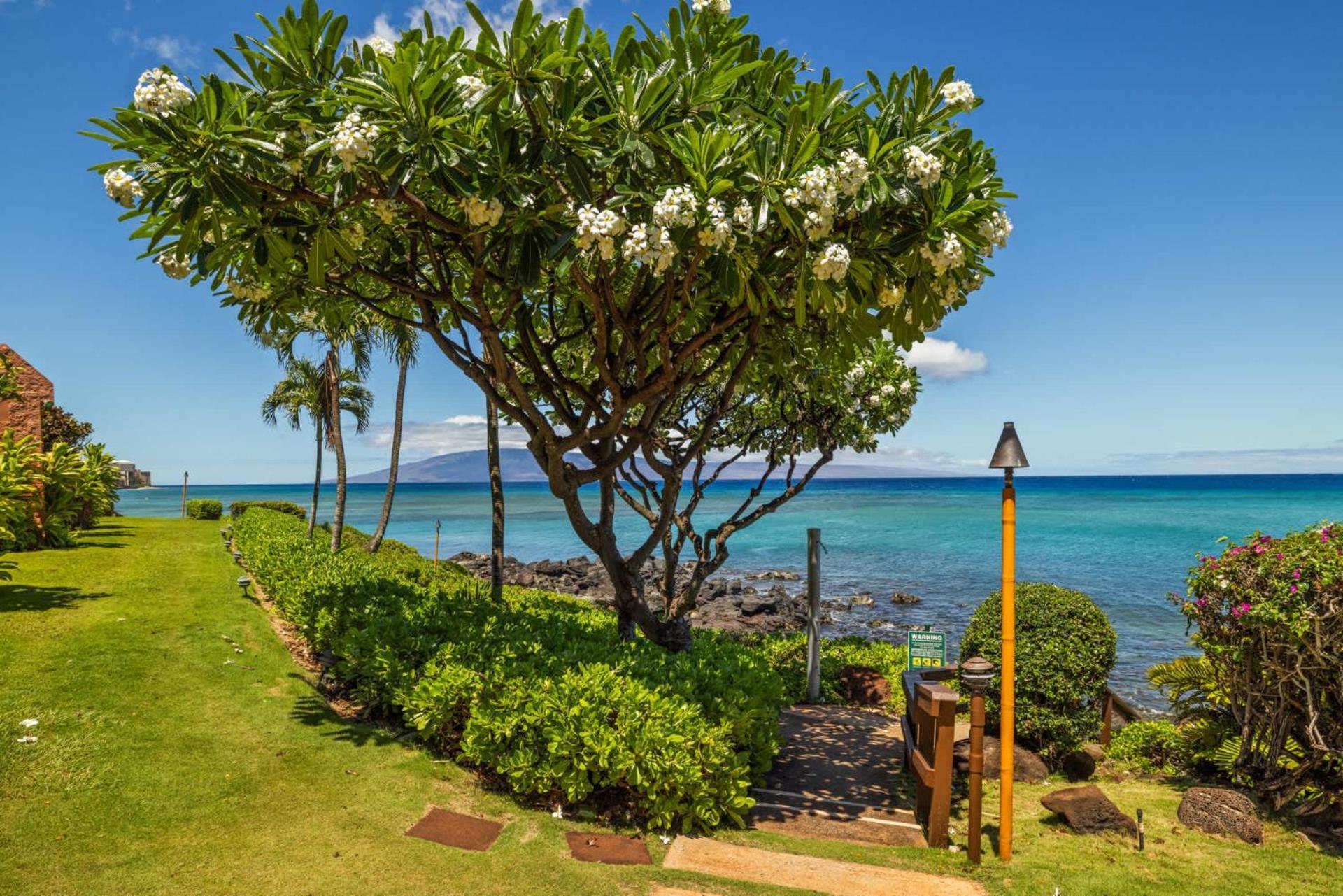 Kuleana Club #619 Oceanfront - 1 Bedroom & 1 Bathroom - Gated 3Rd Fl Kahana Bagian luar foto